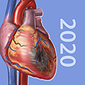 Physiology and Pathology