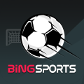Bingsport