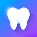 i-DENTify: Dental Anatomy
