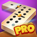 Domina Pro