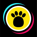 Dabloon Tracker