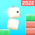 Square Bird
