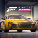 Forza Customs