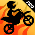 BikeRacePro