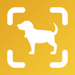 Dog Scan