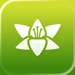 Muguet - EN